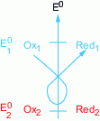 Figure 1 - Gamma rule