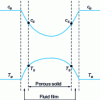 Figure 1 - External and internal concentration and temperature gradients (qualitative)