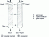 Figure 13 - Packed column gas-liquid reactors