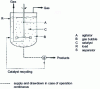 Figure 29 - Batch reactor with suspended catalyst and mechanical stirring