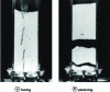 Figure 1 - Foxing and pistoning phenomena for Geldart Group C particles [3]