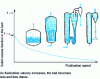 Figure 1 - Transition from bubbling to transported beds