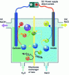 Figure 1 - Schematic diagram of a chlorine production membrane cell