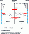 Figure 22 - Reaction diagram for a chlorine-caustic soda membrane cell