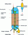 Figure 13 - Bubbling bed reactor [5]