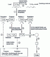 Figure 2 - Simplified reaction scheme for alkane pyrolysis