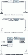 Figure 1 - Production of hydrogen, methanol and ammonia from natural gas