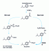 Figure 4 - Access to ibuprofen, old route and new carbonylation route