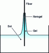 Figure 8 - Xerogel deposition on fiber surface
