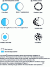 Figure 16 - Morphologies encountered in heart-bark syntheses