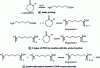 Figure 5 - The 3 reactions involved in the ring-opening polymerization (ROP) of ε-caprolactam