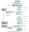 Figure 3 - Deadlines and application for authorization to use pathogenic GMOs (group II)