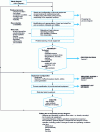 Figure 8 - How to obtain the process diagram