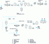 Figure 15 - Schematic diagram of the brine/salt/caustic soda circuit in the diaphragm process