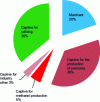 Figure 3 - Hydrogen market in Western Europe in 2017