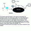 Figure 14 - Steam-forming mechanism of toluene on Rh/Al2O3