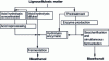 Figure 3 - Process diagram for the production of 2nd generation bioethanol [31].