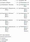 Figure 4 - Acetylated and pyruvylated pentasaccharide unit assembly