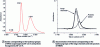 Figure 6 - IR spectra of HFAU and HMOR zeolites