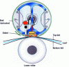 Figure 5 - Shoe press (after Metso)