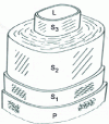 Figure 8 - Coaxial lamellar fiber ultrastructure