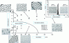 Figure 5 - Mapping of particles obtained in a microchannel [45].