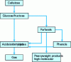 Figure 9 - Simplified diagram of pure cellulose degradation