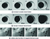 Figure 39 - Optical images of magnetic Janus particles obtained by increasing the volume fraction of acrylate or siloxane and rotating the Janus particles under the effect of a rotating magnetic field [109].
