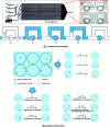 Figure 8 - Measurement of nucleation frequencies by recording and counting crystals in each drop