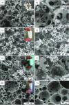 Figure 8 - Global SEM monolithic and textural appearances of SBA15-Si(HIPE) varying the salt concentration (NH4)2SO4: a-b) 0.1 M; c-d) 0.5 M; e-f) 1.0 M; g-h) 2.0 M (ACS Copyright 2018 [21])