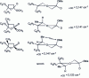 Figure 9 - Tetrahydrofuranic conformational analysis