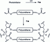 Figure 8 - Cross-polymerization of polyurethane diacrylate