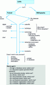 Figure 1 - Flow chart for selecting sources to consult