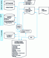 Figure 2 - CAS documentation system on STN Int