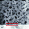 Figure 17 - Nanotrous in LZO layers on Ni5W by STEM (HAADF technique on cross sections) (after [112], courtesy of IOPScience)