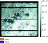 Figure 12 - Electroluminescence
measurement in a mc-Si module [8]