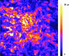 Figure 13 - Effective
minority carrier lifetime from a photoluminescence image on a 6-inch
SiN passivated multicrystalline  silicon wafer [9]