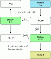 Figure 24 - Sketch
of hydrogen dynamics as part of LeTID (figure taken from [34])