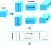 Figure 11 - Equivalent polarization directions in the quadratic phase of PbTiO3 and schematic representation of domain walls at 180° and 90°.