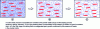 Figure 19 - Schematic diagram of texturing by organized grain growth