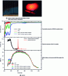 Figure 31 - Example of EVA/europium complex micrometric fluorescent waveguide coupling on a silicon cell [82].