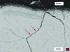 Figure 25 - Micrographic examination of an AISI 310 belt edge after 6 months of operation