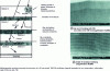 Figure 21 - Effect of coating nanostructuring on different properties [37]