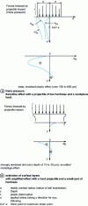 Figure 16 - Diagram of the distribution of residual shot peening stresses under the effect of Hertz pressure and skin extension.