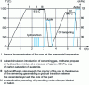 Figure 55 - Stages of low-pressure carburizing