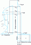 Figure 26 - Schematic representation of the Fe–N equilibrium diagram and solid-state nitrogen concentration profile