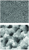 Figure 12 - SEM view (X 2000) of the surface of a nitrocarburized layer (from HEF Techniques Surfaces)