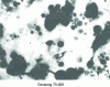 Figure 23 - Structure of CuNi3.2Si0.7 alloy in TER state (tempered at 550°C): transmission electron microscopy (doc. Tréfimétaux)