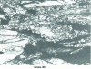 Figure 4 - Recrystallization propagating from old grain boundaries in CuZn30 brass