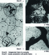 Figure 6 - MgAl8Zn1 alloy